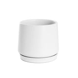Elegant white ceramic belly pot and plate, 18cm wide and 16cm tall, perfect for indoor and outdoor plants.