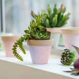 Light purple terracotta Panter pot set of 6, ideal for indoor/outdoor plants with optimal drainage and earthy aesthetic.