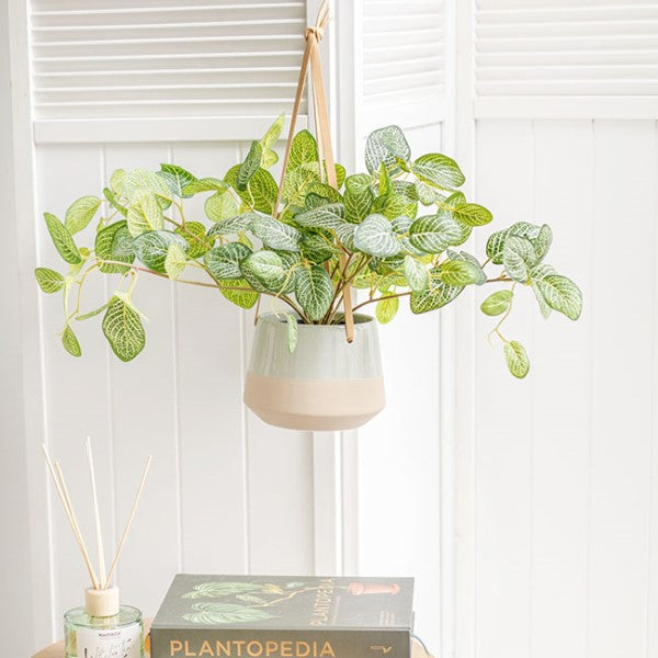Ceramic dolomite hanging pot duo in sage color, perfect for showcasing plants, enhancing decor, and saving space.