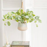 Ceramic dolomite hanging pot duo in sage color, perfect for showcasing plants, enhancing decor, and saving space.
