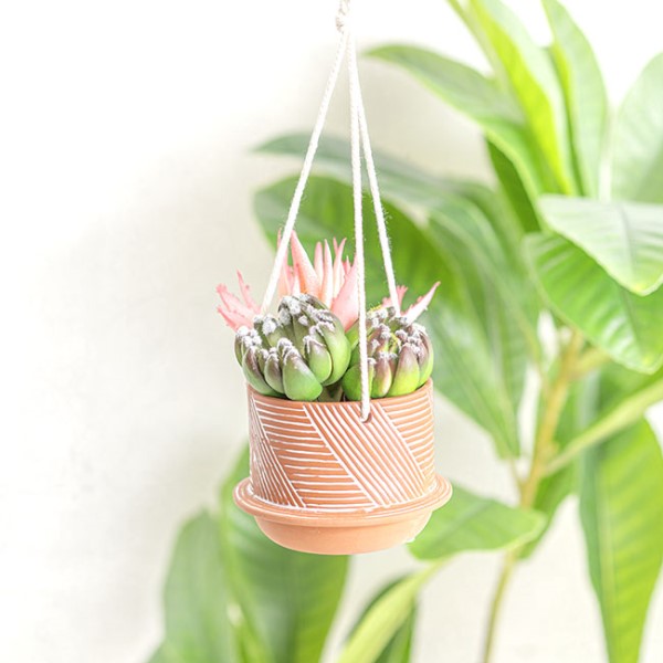 Ceramic terracotta hanging pot, 11.2x7.8cmH, ideal for herbs and flowers, promoting plant health and stylish vertical decor.