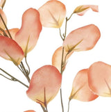 Vibrant 90cm coral eucalyptus spray featuring heart-shaped leaves, perfect for elegant home decor and floral arrangements.