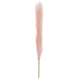 Single stem soft pink pampas spray, 70cm tall, perfect for elegant home decor and versatile floral arrangements.