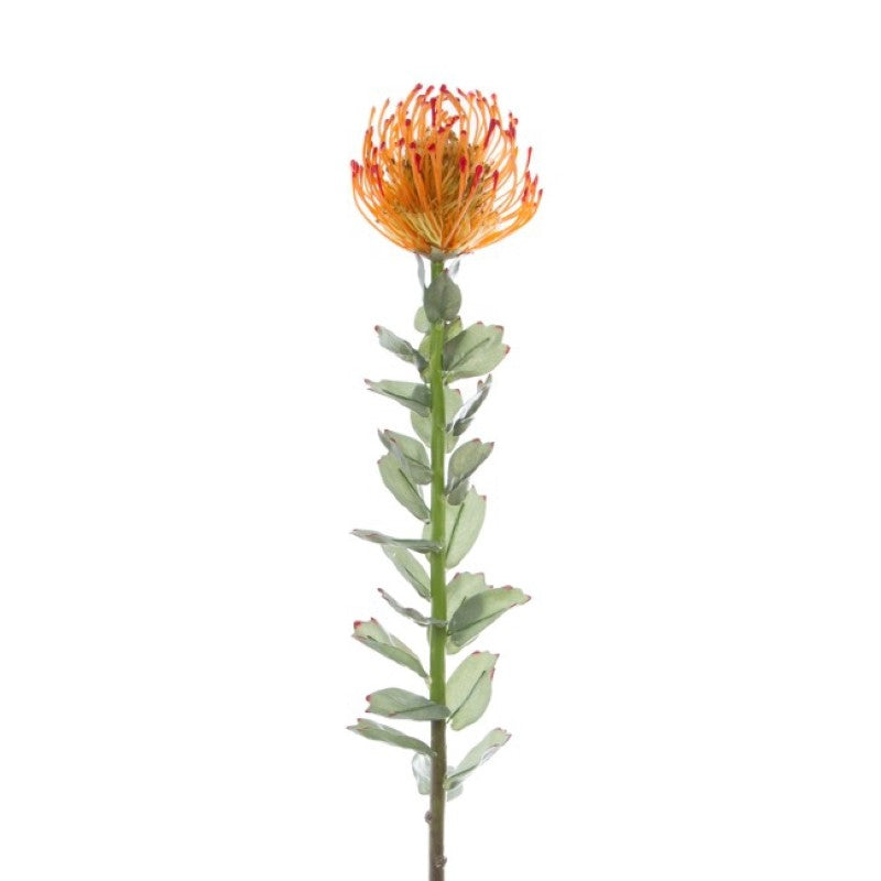 Bright orange artificial Native Leucospermum flower, 70cm tall, perfect for home decor and events.
