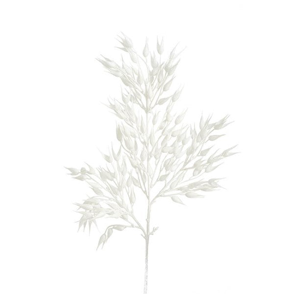 Elegant 65cm artificial Coix Seed Grass Spray in white, perfect for decor and low-maintenance greenery in any space.