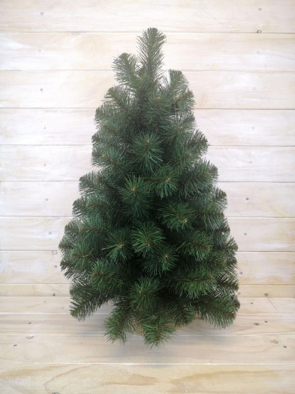 Lifelike 24" artificial Australian pine tree in burlap, perfect for enhancing indoor decor with minimal maintenance.