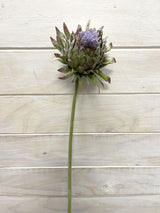 Lifelike purple Scottish thistle spray, perfect for effortless home decor without maintenance, enhancing any space elegantly.
