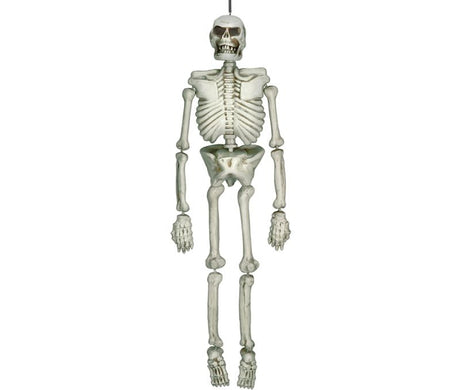 Lifesize 1.37m plastic skeleton with realistic details, perfect for Halloween, education, and themed parties.