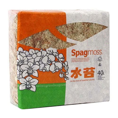 Premium 500g SpagMoss Large, natural sphagnum moss for gardening, crafting, and improving soil moisture retention.