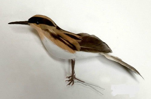 Handcrafted 15cm Sandpiper Ornament showcasing realistic details, perfect for coastal decor and nature lovers.
