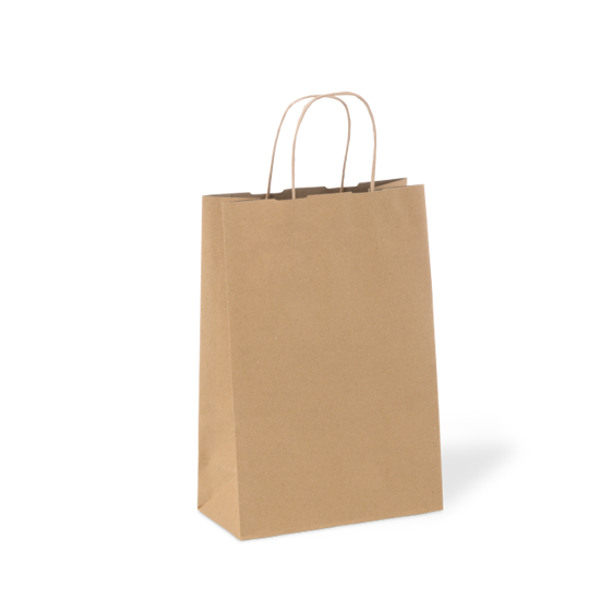 Kraft paper carry bag with twist handle, 355x240x120mm, holds up to 13kgs; eco-friendly, recyclable, ideal for retail use.