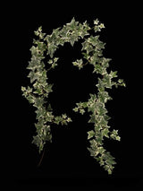 Lifelike 1.8m Jamaican Ivy garland in rich green, perfect for home decor, weddings, and floral arrangements.