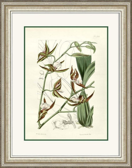 Framed 30x40cm art featuring vibrant plantlife, ready to hang with glass front for protection.