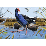 Holdson Puzzle featuring vibrant Pukeko Waders artwork, celebrating New Zealand's wildlife in a 300XL piece jigsaw.