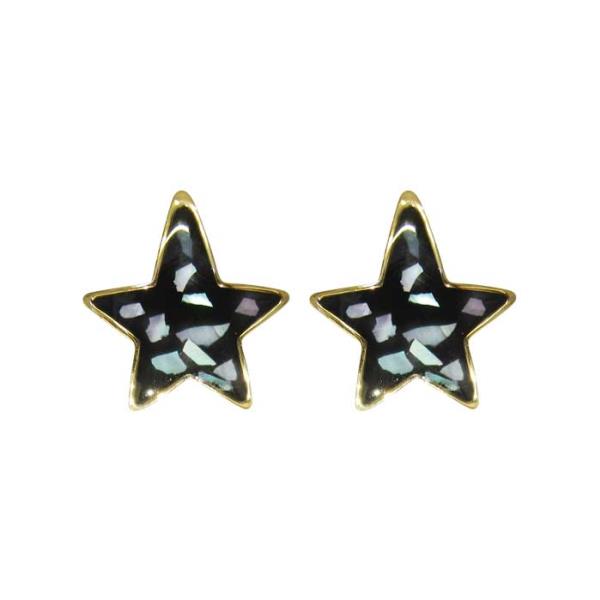 Earrings - Jax Star Paua