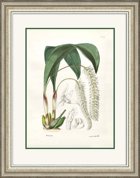 Framed art featuring vibrant plant life, 30x40cm, easy to hang, protected in sturdy packaging.