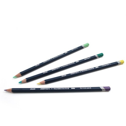 Derwent Watercolour Pencils - Assorted Tin of 24