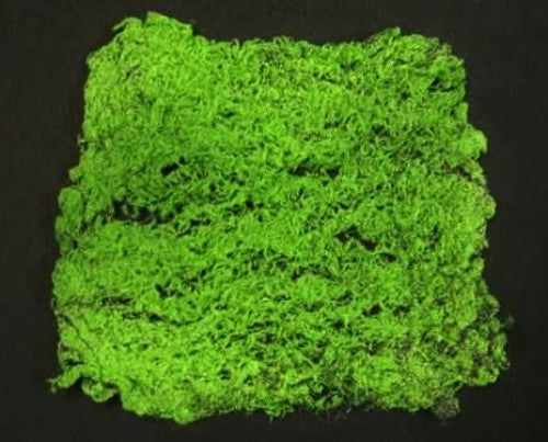 Lush green square moss mat, 30 x 25 cm, perfect for floral arrangements and enhancing garden aesthetics.