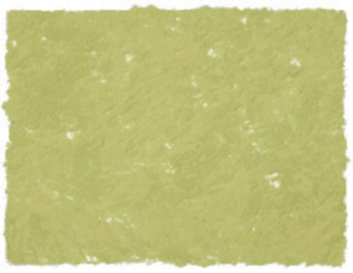 AS Square Pastel in Sap Green A, a vibrant, creamy pastel for bold strokes and fine details, perfect for artists.