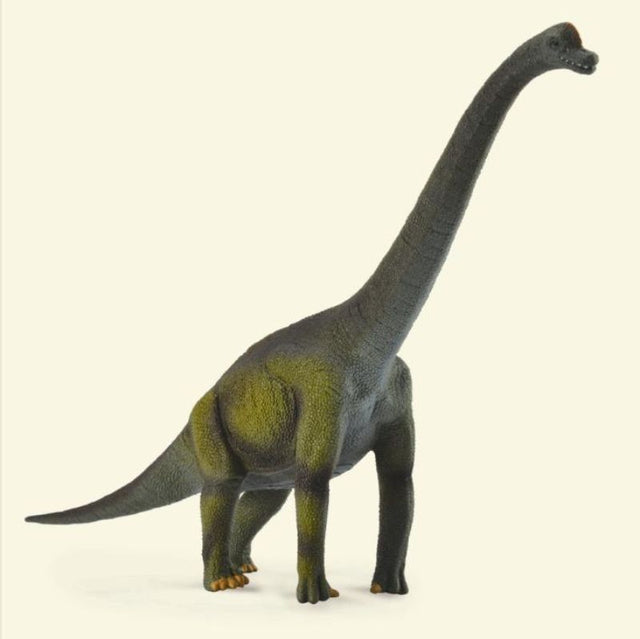 Hand-painted CollectA Brachiosaurus figure, 21.5cm long, durable vinyl, perfect for collectors and imaginative play.