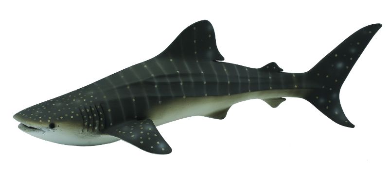 CollectA Whale Shark