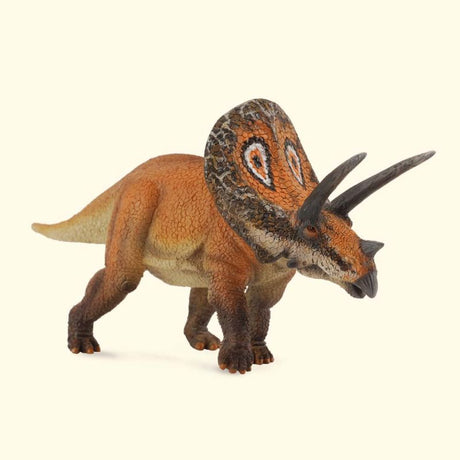 Hand-painted CollectA Torosaurus figure, 14cm x 8cm, showcasing detailed craftsmanship and vibrant colors, perfect for collectors.