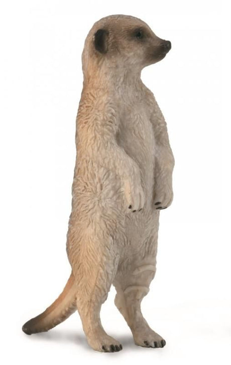 Hand-painted CollectA meerkat figurine, 2cm x 6cm, crafted from durable, non-toxic PVC for collectors and educators.