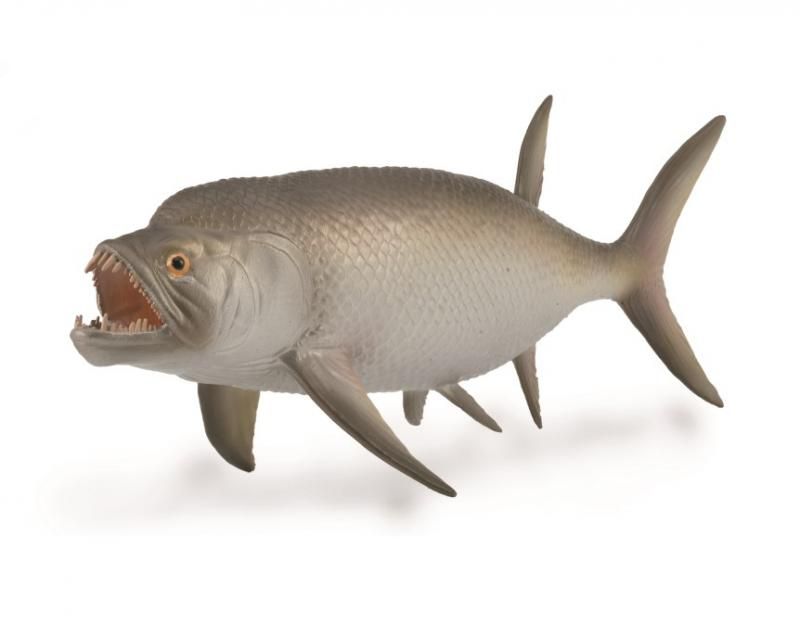 Hand-painted CollectA Xiphactinus model, 1:40 scale, 16.2cm, durable PVC, showcasing remarkable prehistoric fish details.