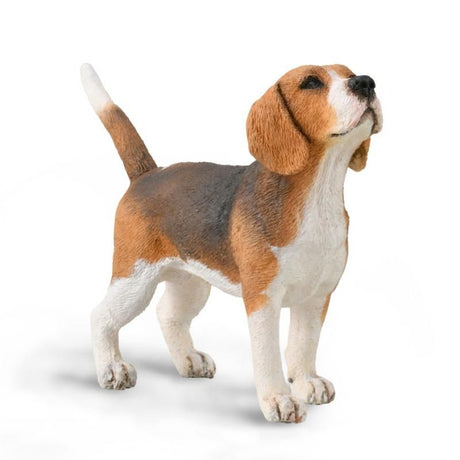 Hand-painted CollectA Beagle figurine, 7.4cm tall, detailed design, safe non-toxic PVC, perfect for dog lovers and collectors.