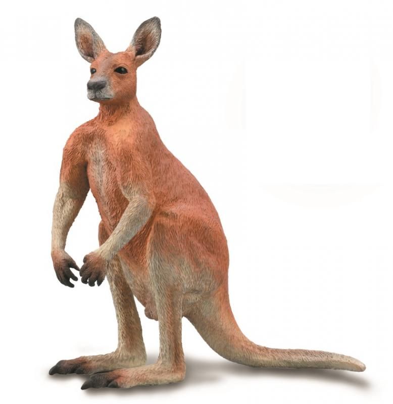 CollectA Red Kangaroo figurine; hand-painted, durable, and detailed design perfect for collectors and children's play.