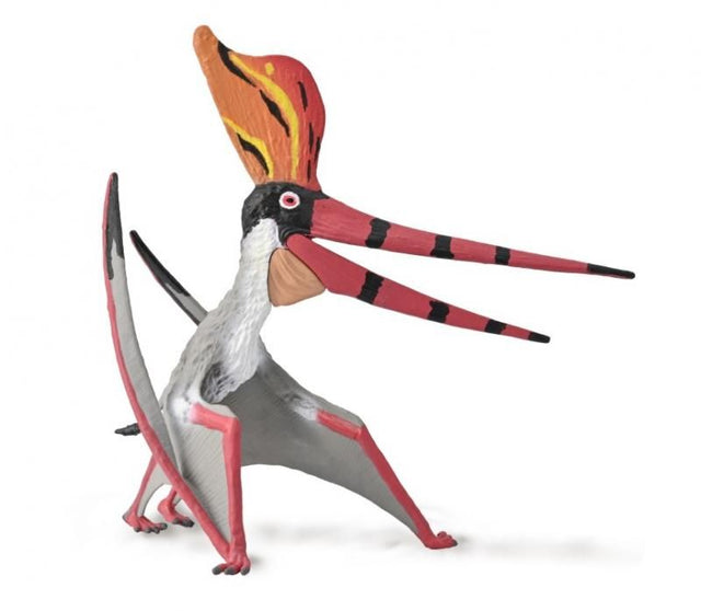 Hand-painted CollectA Pteranodon Sternbergi model with movable jaw, showcasing detailed features at 1:20 scale (15cm x 13.5cm).