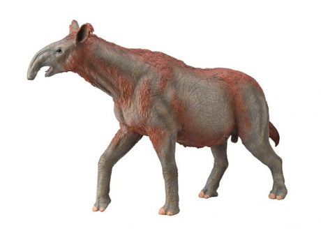 Hand-painted CollectA Paraceratherium model, 22cm x 14.7cm, durable non-toxic vinyl, ideal for play and display.