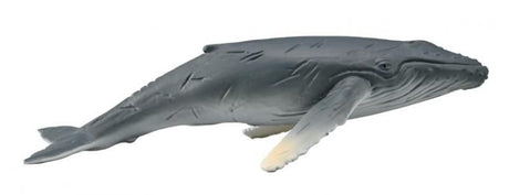 Hand-painted CollectA Humpback Whale Calf figure, 10.5 cm, intricately detailed and safe for collectors and educators.