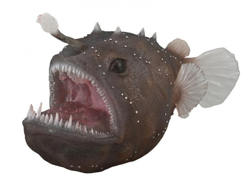 Hand-painted CollectA Anglerfish figure, 12.8cm x 6.4cm, showcasing bioluminescent lure and intricate textures for educational play.