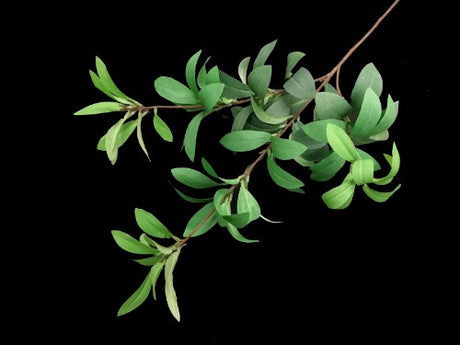 Lifelike green Azalea Leaf Spray, ideal for adding vibrant texture to floral arrangements and décor without maintenance.
