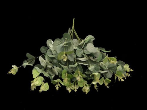 Lifelike green Eucalyptus Bunch enhances decor, perfect for arrangements or standalone display with no maintenance needed.