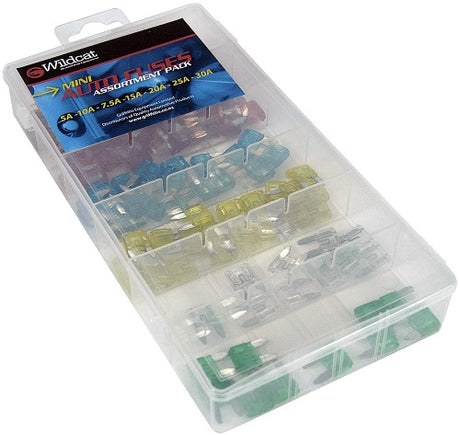 Wildcat Mini Blade Fuse Assortment in a display case featuring fuses from 5A to 30A for reliable automotive and household protection.