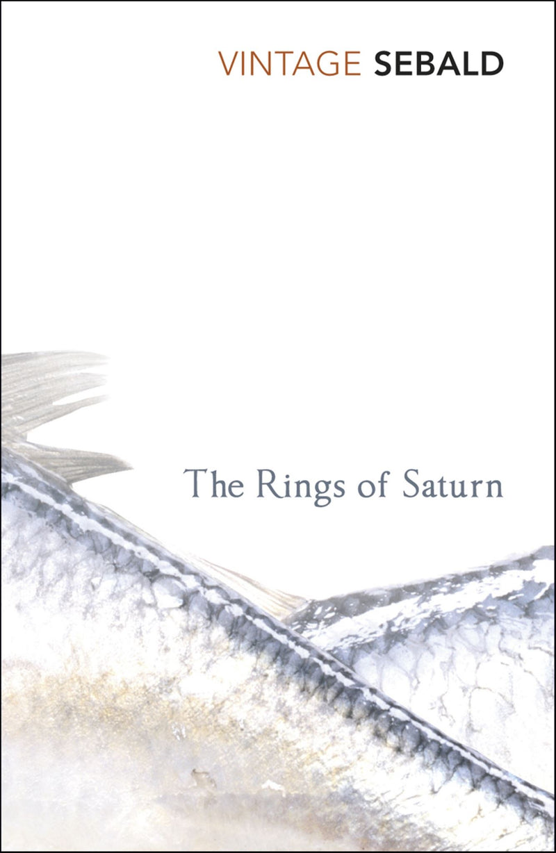 The Rings of Saturn