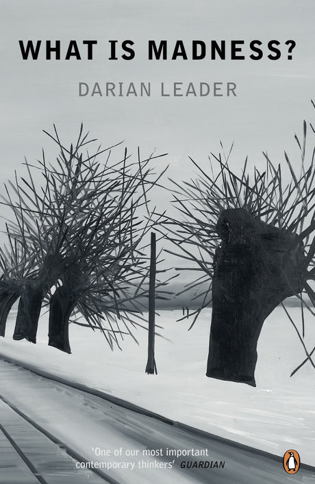 Cover of "What Is Madness?" by Darian Leader, a profound exploration of mental health and societal perceptions of sanity.