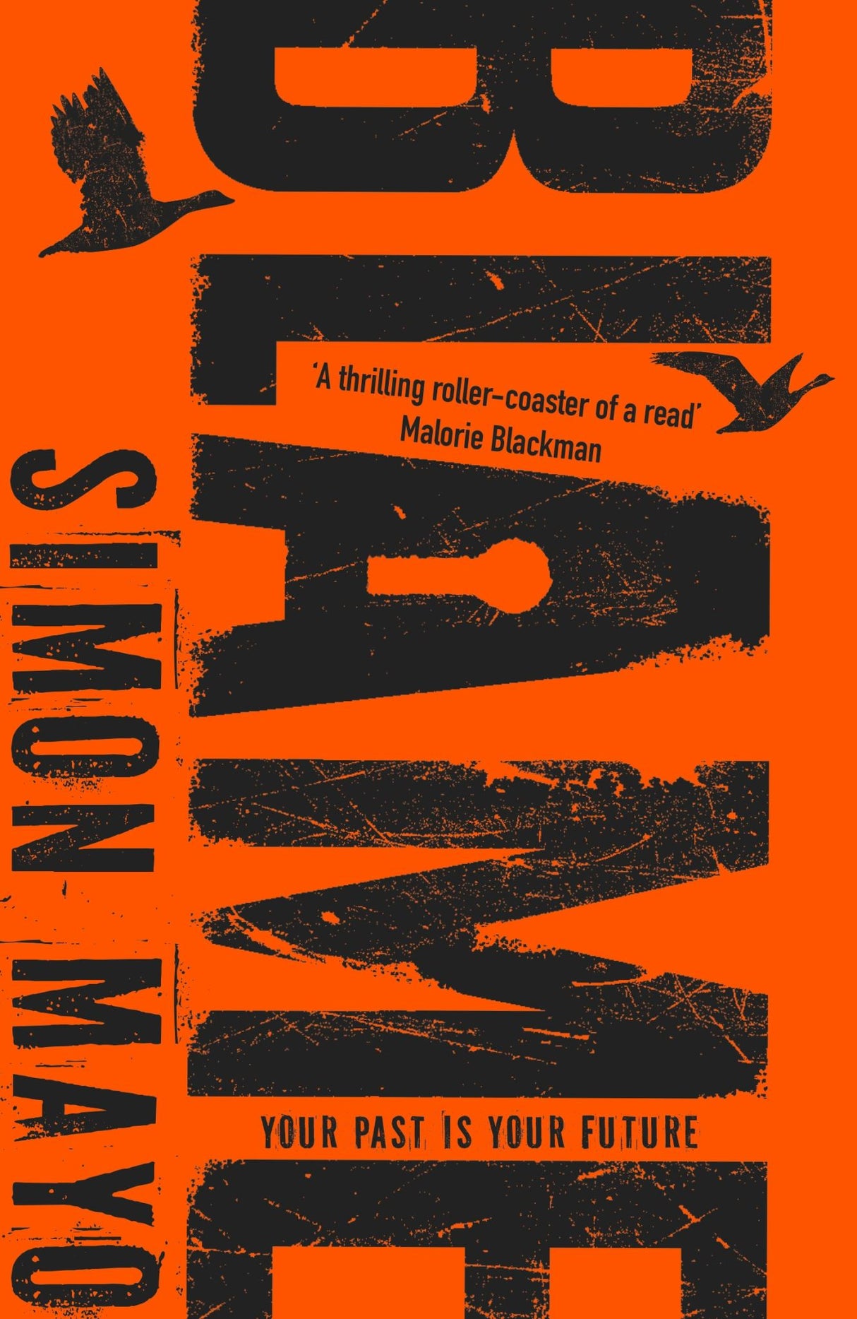 A gripping YA suspense thriller, 'Blame' follows Ant's fight for justice amidst societal blame in a dystopian London.