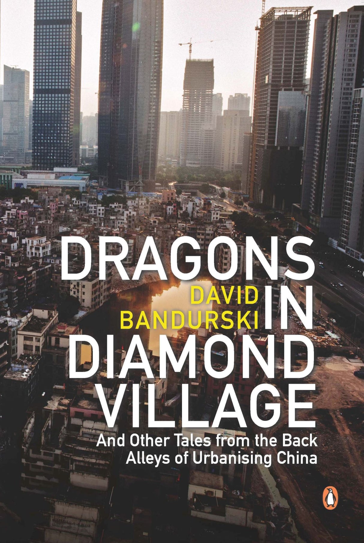 Cover of 'Dragons in Diamond Village', showcasing stories of resilience against urbanization in Guangzhou, China.