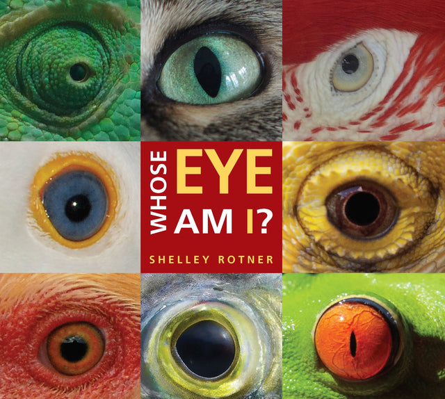 Engaging picture book exploring vibrant animal eyes and unique vision for curious young readers.