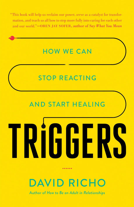 Comprehensive self-help book "Triggers" by David Richo, exploring emotional healing and understanding responses to trauma.