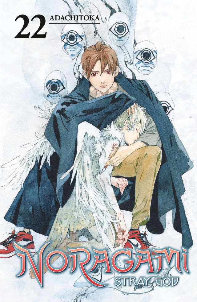 Illustrated cover of Noragami: Stray God Volume 22, featuring Yato, the homeless god on his adventurous journey.