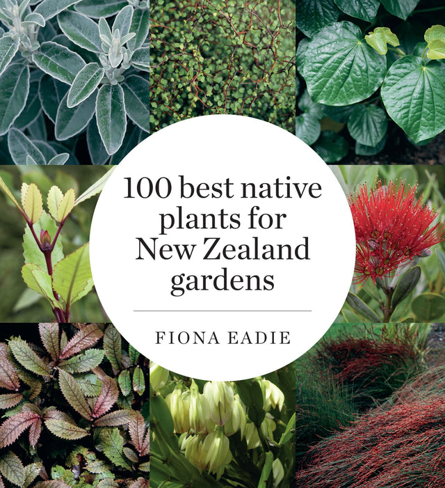 "Cover of '100 Best Native Plants for New Zealand Gardens' showcasing various native plants essential for New Zealand gardens."