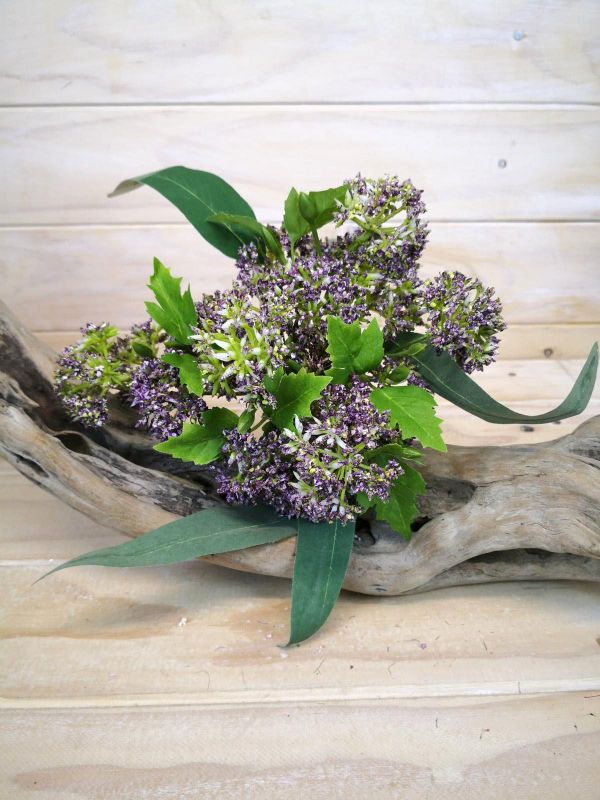 Stylish purple Thistal Bundle, perfect for organization and home décor, crafted for durability and easy portability.
