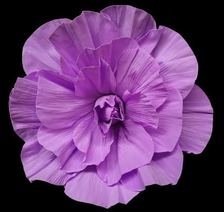 60cm silk purple rose head, vibrant and elegant, perfect for home decor, events, and floral arrangements.