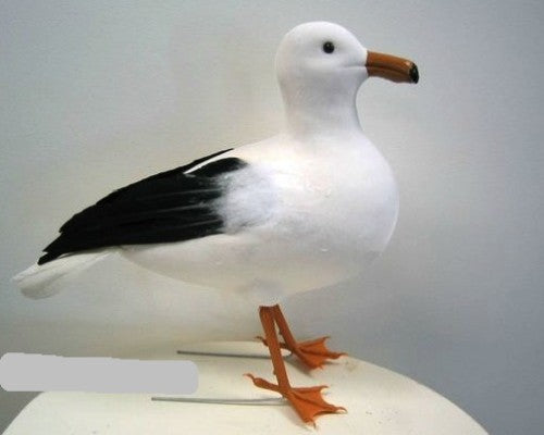 Large seagull ornament (30cm x 12cm) crafted from polystyrene, perfect for coastal decor and home accents.