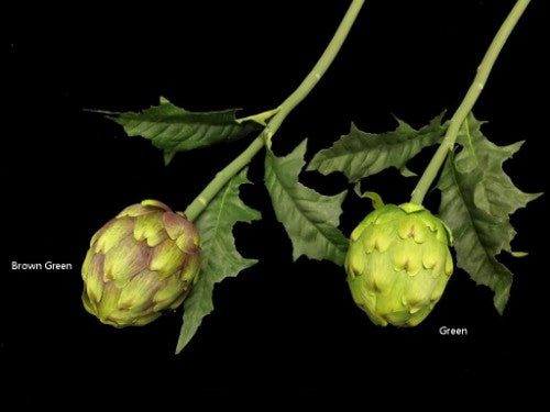 Lifelike green artichoke, perfect for home decor, floral arrangements, and seasonal displays without maintenance.