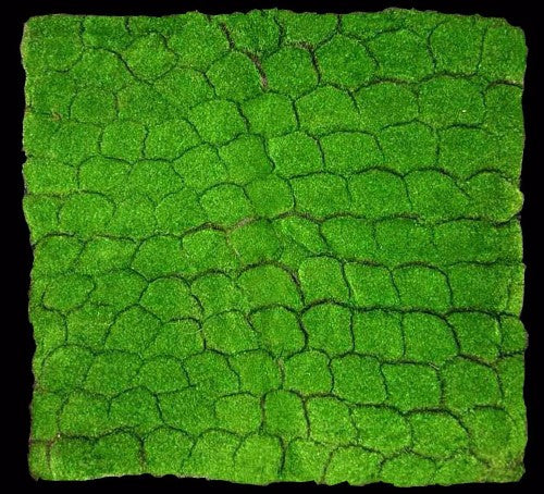 Large square moss mat in vibrant green, perfect for versatile indoor and outdoor decor, easy to shape and cut for any project.